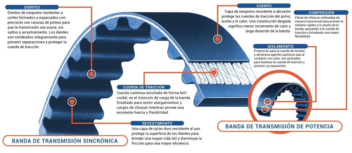 Bandas Dentadas Bandas Dentadas