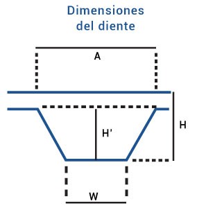 Dimensiones del diente Dimensiones del diente